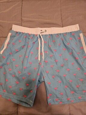 NONWE Light Blue Flamingo-Print Men's Swim Trunks with White Waistband